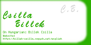 csilla billek business card